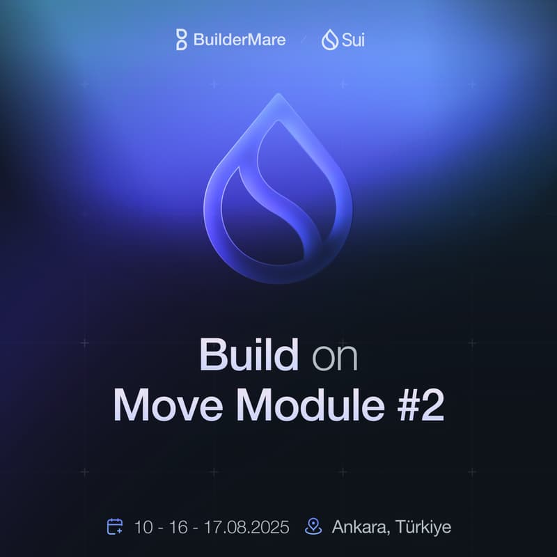 Cover Image for BuilderMare SUI Education - Group 1- Module #2