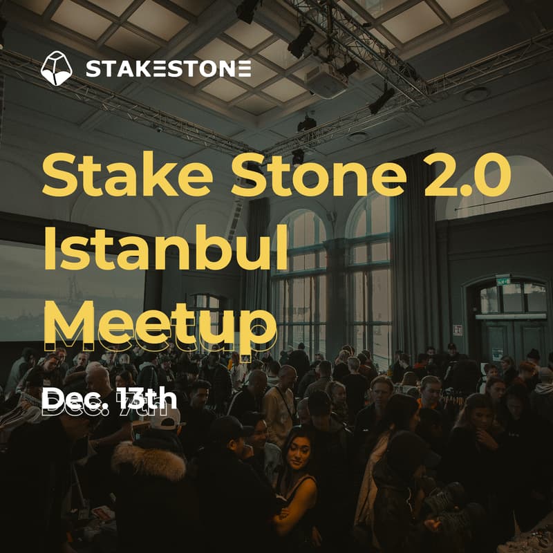 Cover Image for StakeStone Connect