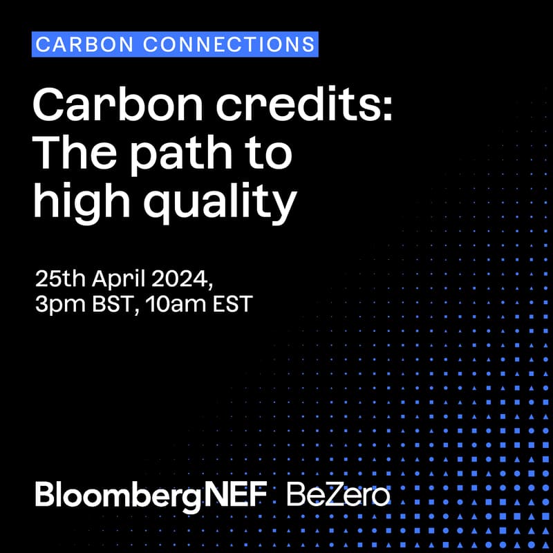 Cover Image for Carbon Connections webinar series - Carbon credits: The path to high quality