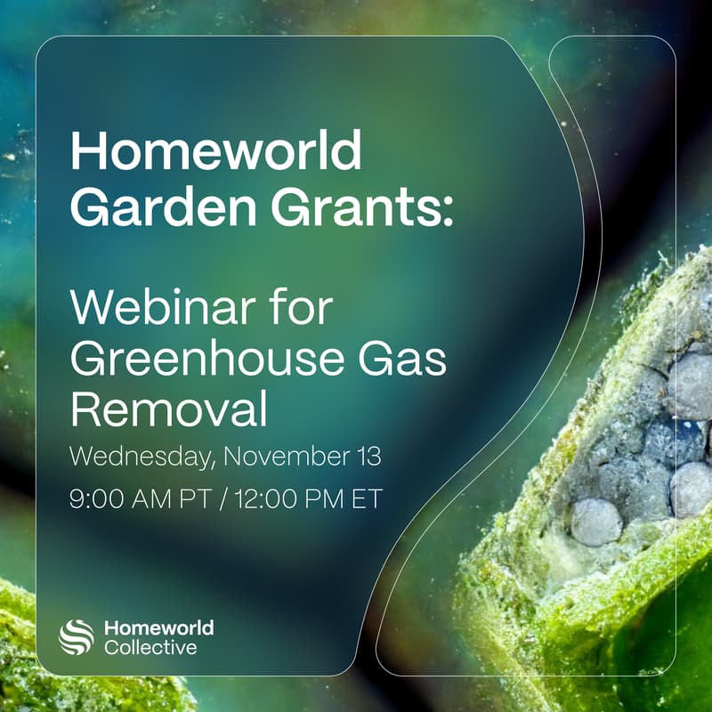 Cover Image for Garden Grants Webinar:  Greenhouse Gas Removal