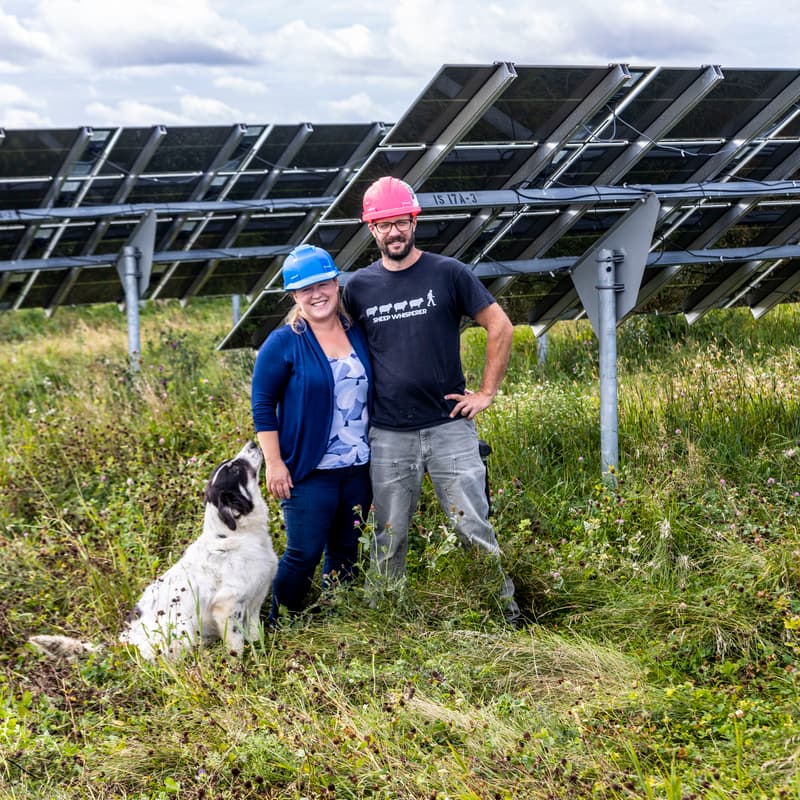 Cover Image for Solar grazing 101 in Canada: Is it right for your farm? (Online)