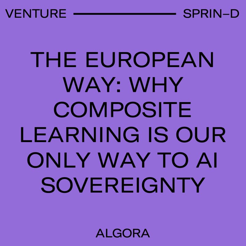 Cover Image for The European Way: Why Composite Learning is our only Way to AI Sovereignty