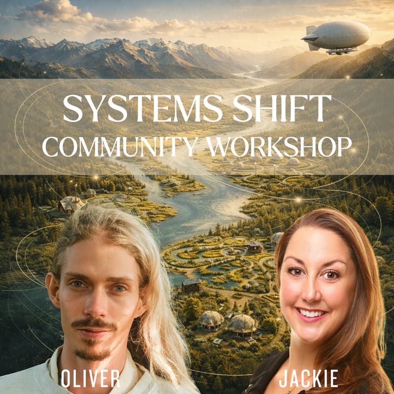 Cover Image for Systems Shift: Infrastructure for a Flourishing Future