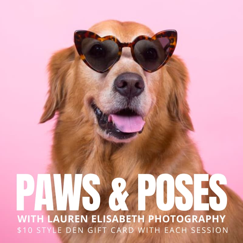 Cover Image for Paws & Poses: Dog Portrait Pop-Up