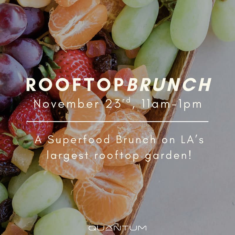 Cover Image for Members Cultural Community Brunch