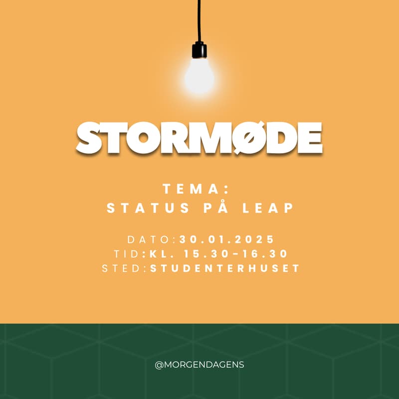 Coverbillede til Stormøde - Status på Leap