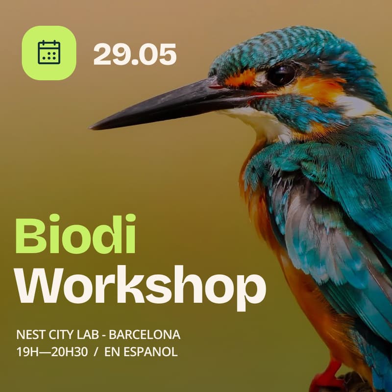 Cover Image for Biodi Workshop
