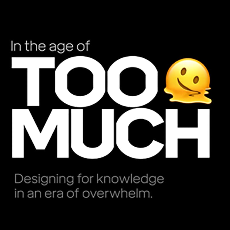 Cover Image for In The Age Of Too Much