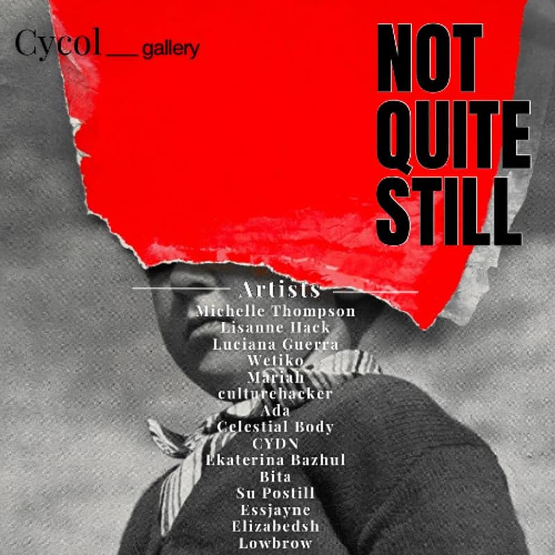 Cover Image for Not Quite Still (Paris)