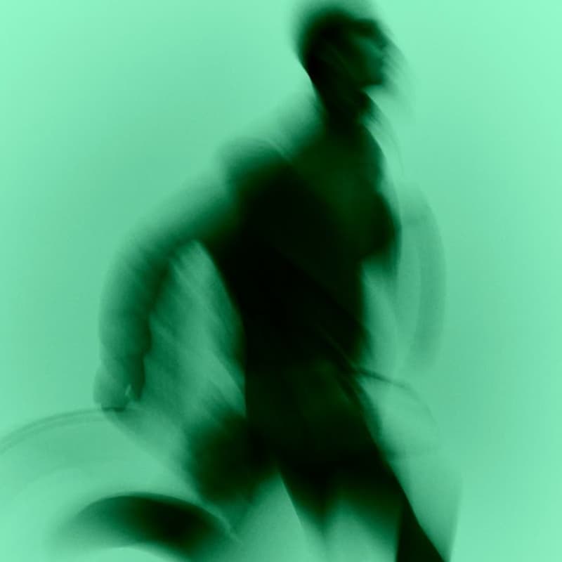 Cover Image for Afternoon Run with the Bekin Training Club