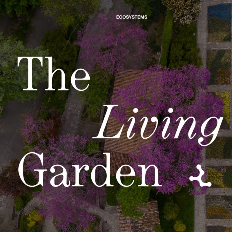 Cover Image for Planting Seeds
