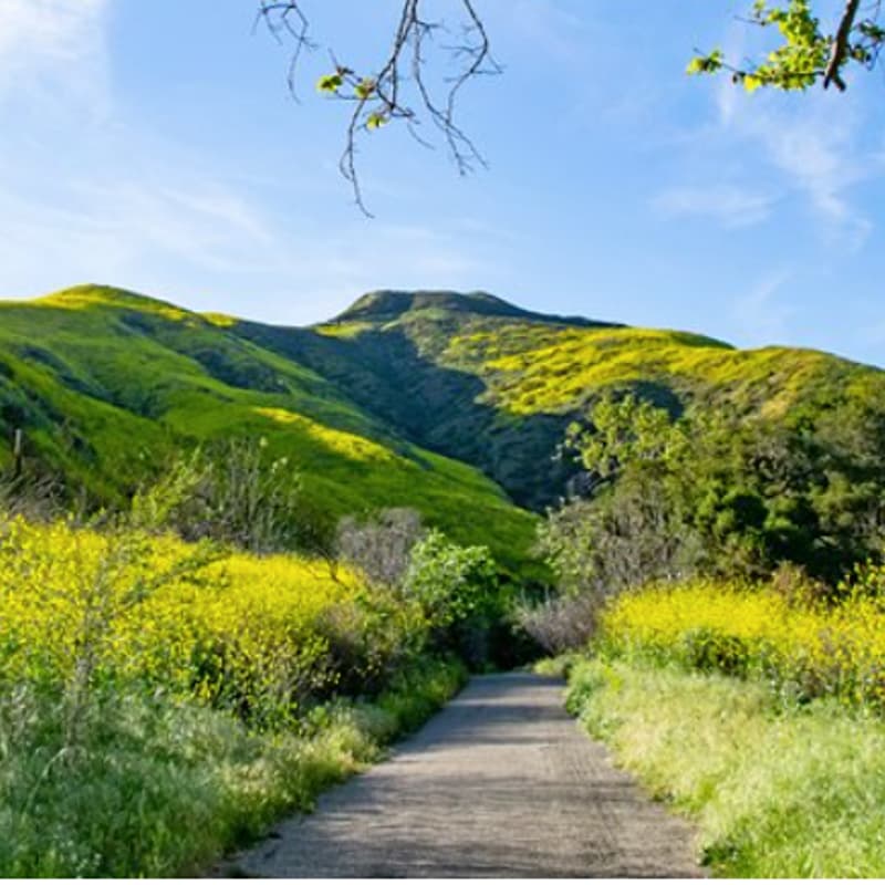 Cover Image for Brother's Fajr Hike​
