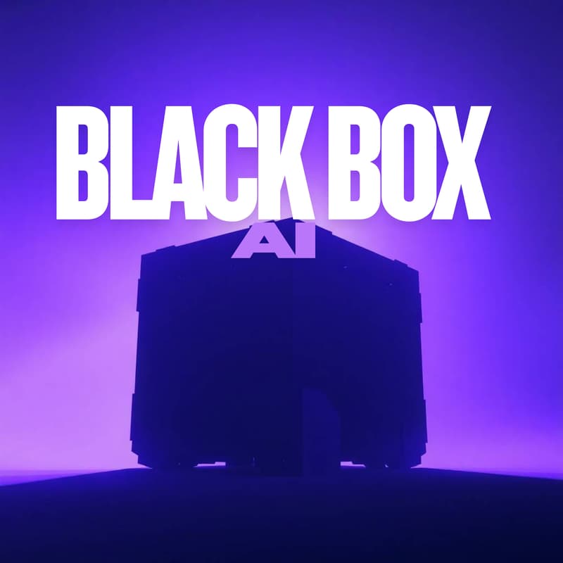 Cover Image for Black Box AI: Can We Trust What We Don’t Understand?