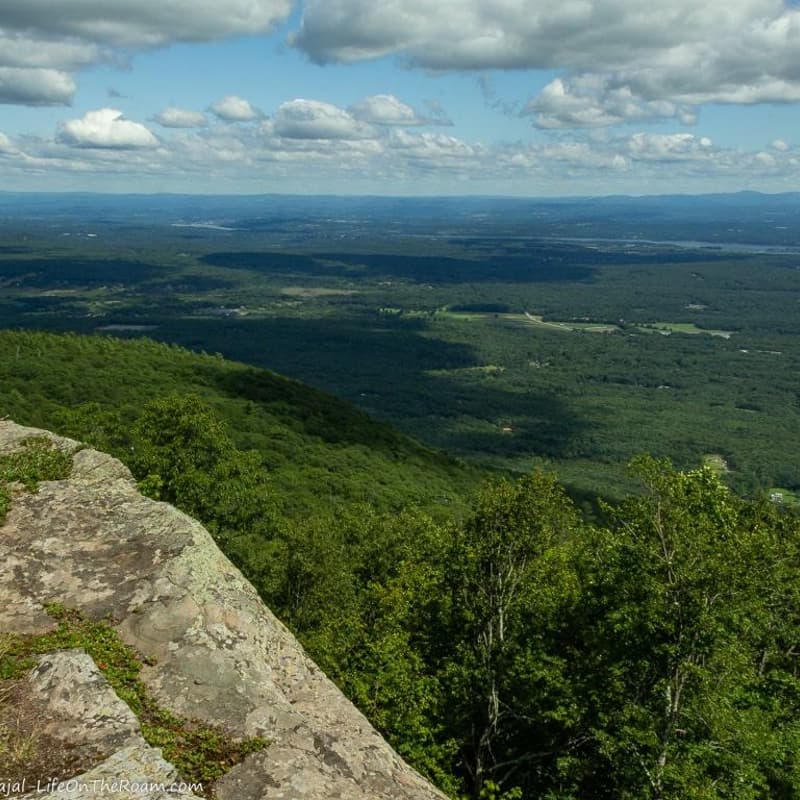 Cover Image for 3-Day Body and Mind Reset: The Reverse Aging Challenge