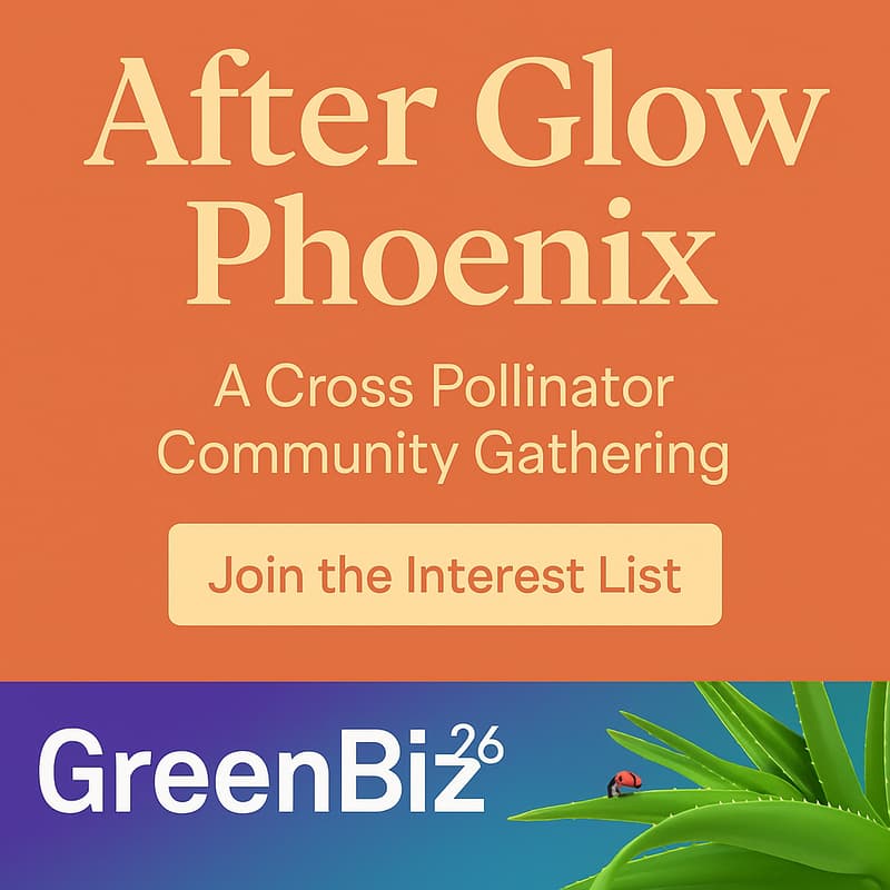 Cover Image for After  Glow   Phoenix