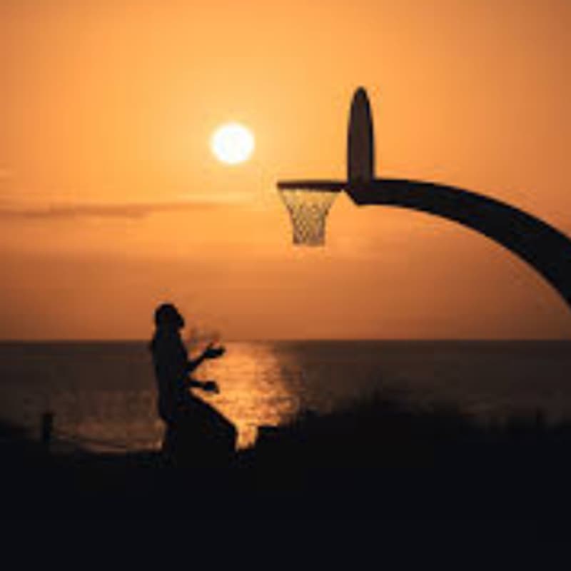 Cover Image for USC MSU Basketball Tournament