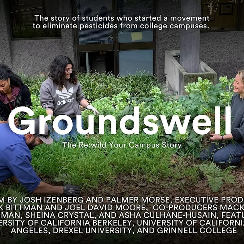 Cover Image for Re:wild Your Campus and Beyond: Imagining Toxics-Free Landscapes (Film Screening)