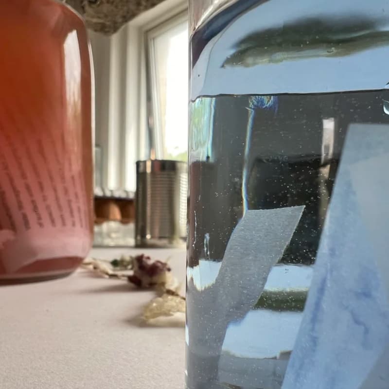 Cover Image for CIIP Speaker Series - Becky Lyon - The Department of Artecology: Who gets to be an ecologist?