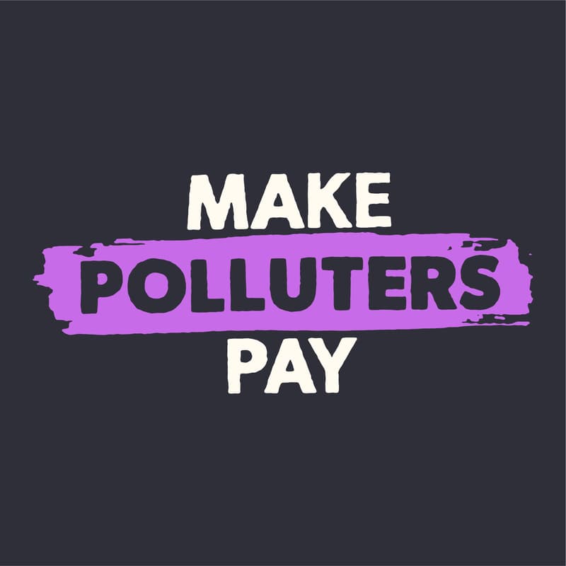 Cover Image for What Comes Next For The Climate Movement? | Make Polluters Pay Creator Briefing