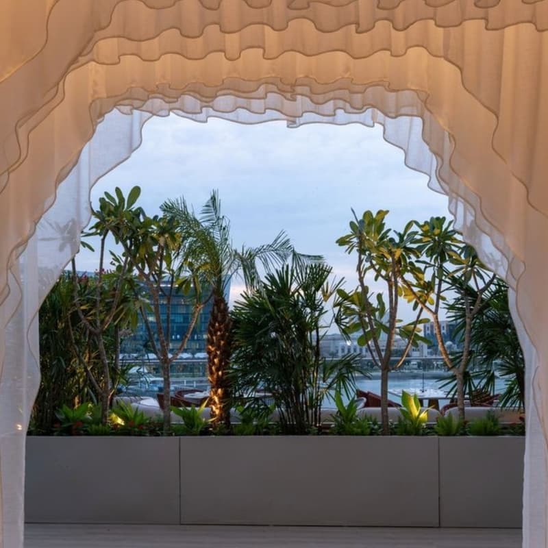 Cover Image for 🆕 Luxury Venue 🆕Elegant Networking Event under Star✨