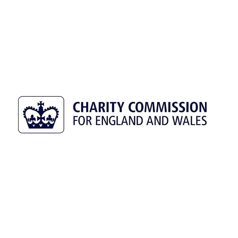 Cover Image for Conflicts of Interest - Charity Commission Guidance Review | Achosion o wrthdaro buddiannau – Adolygiad o Ganllawiau’r Comisiwn Elusennau