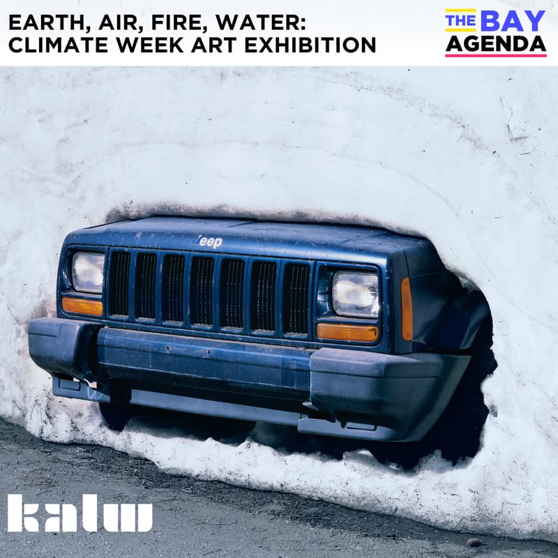 Cover Image for Earth, Air, Fire, Water: Climate Week Art Exhibition & Discussion