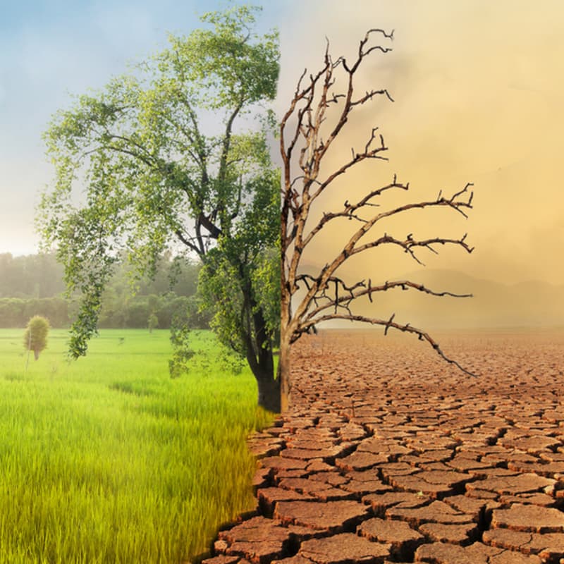 Cover Image for Climate Change and Water Access: Empowering Communities and Amplifying Solutions
