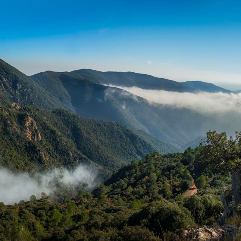 Cover Image for Karisma Hike Club:  Sant Martí de Centelles to Turó de Tagamanent