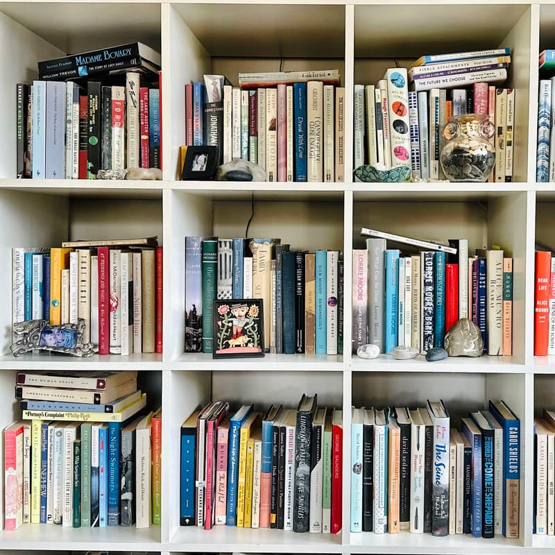 Cover Image for mentor book club