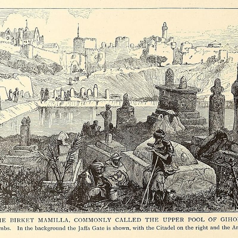 Cover Image for The Forgotten Cemetery: Mamilla and the Struggle for Jerusalem