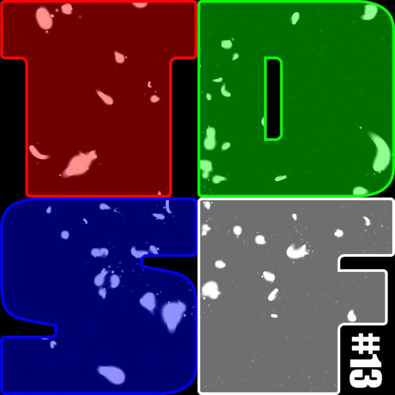 Cover Image for TDSF  #13