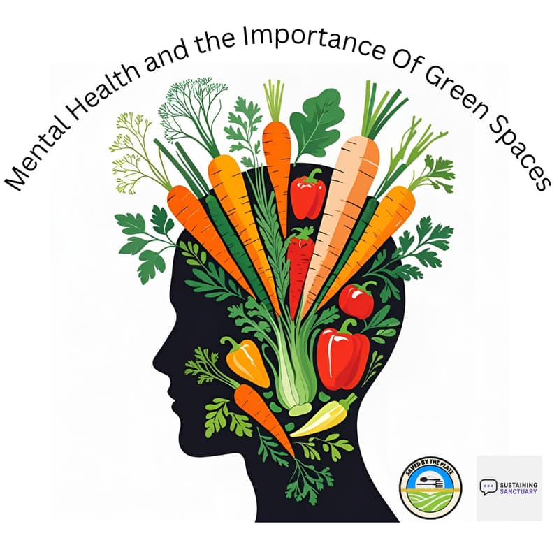 Cover Image for Mental Health and the Importance Of Green Spaces