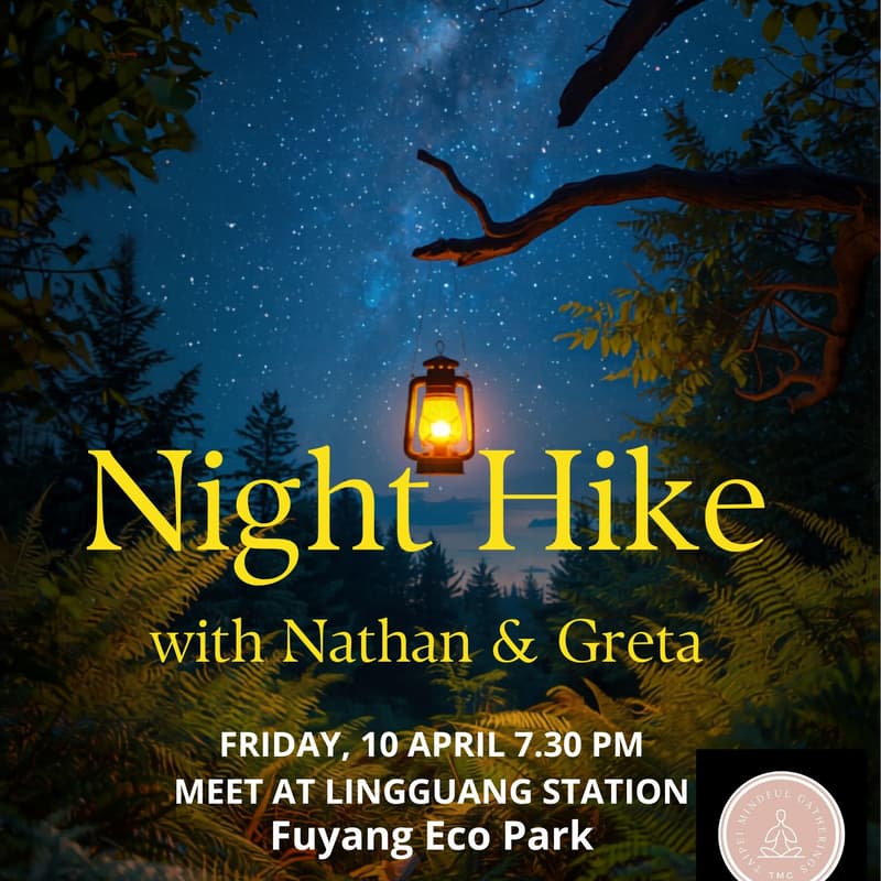 Cover Image for Night Hike Under The Stars 🌟