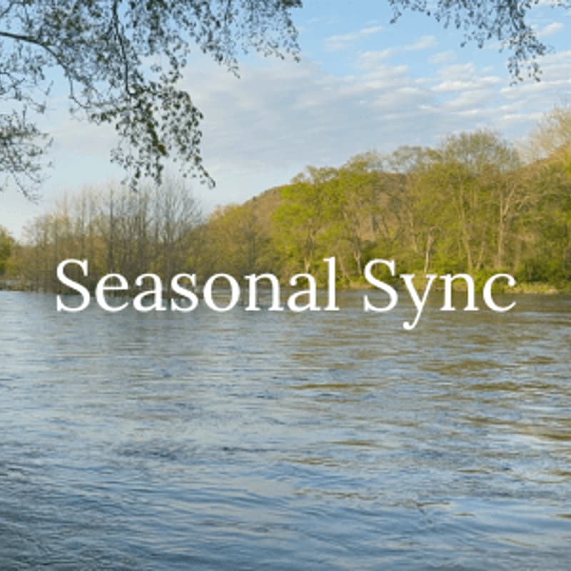 Cover Image for Seasonal Sync