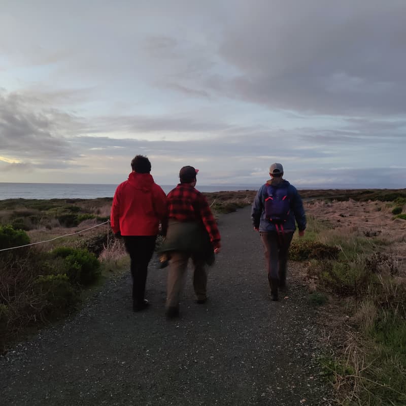 Cover Image for North Coast Hike - California