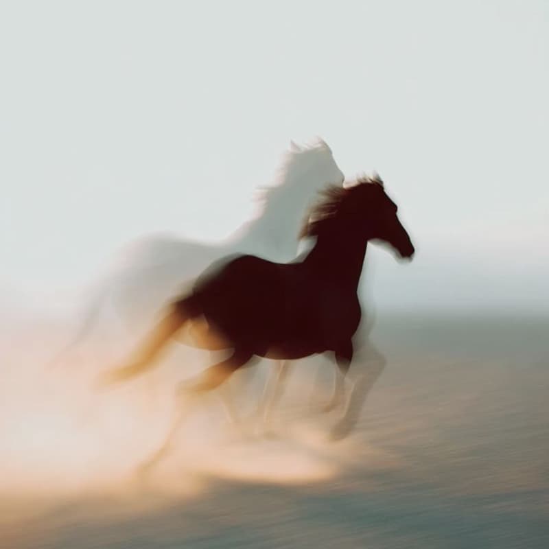 Cover Image for Career Visioning: The Next Chapter