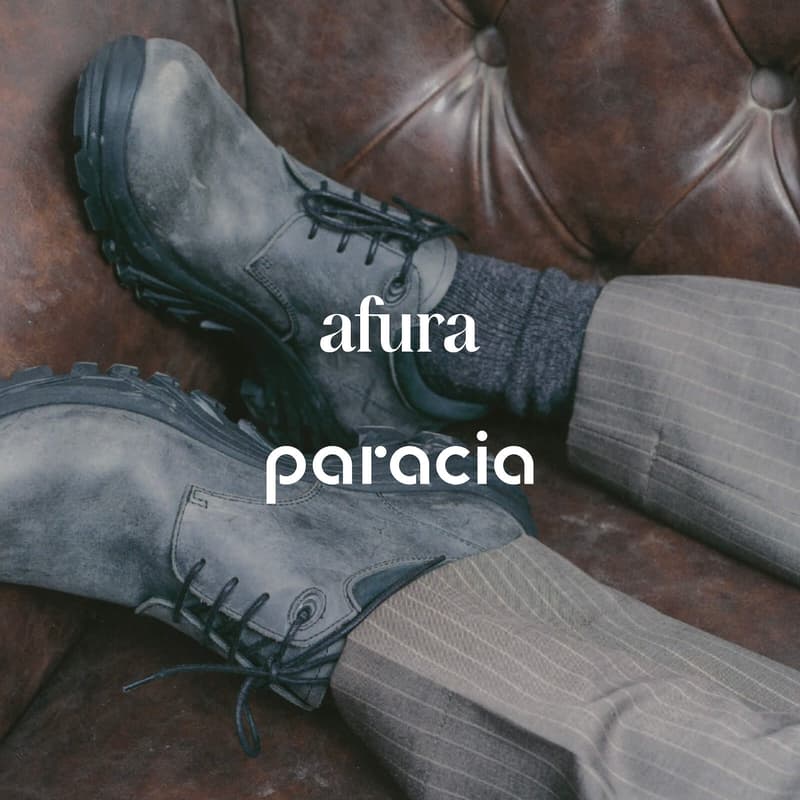 Cover Image for Weathering the City with Paracia