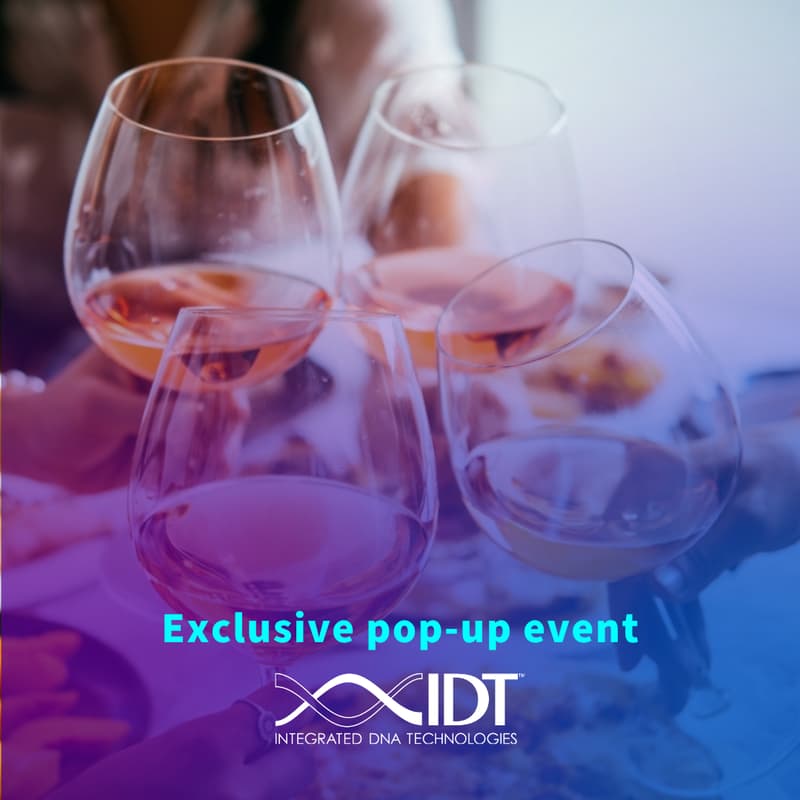 Cover Image for Lighthouse Connect: Innovation Networking Night 12/4/25