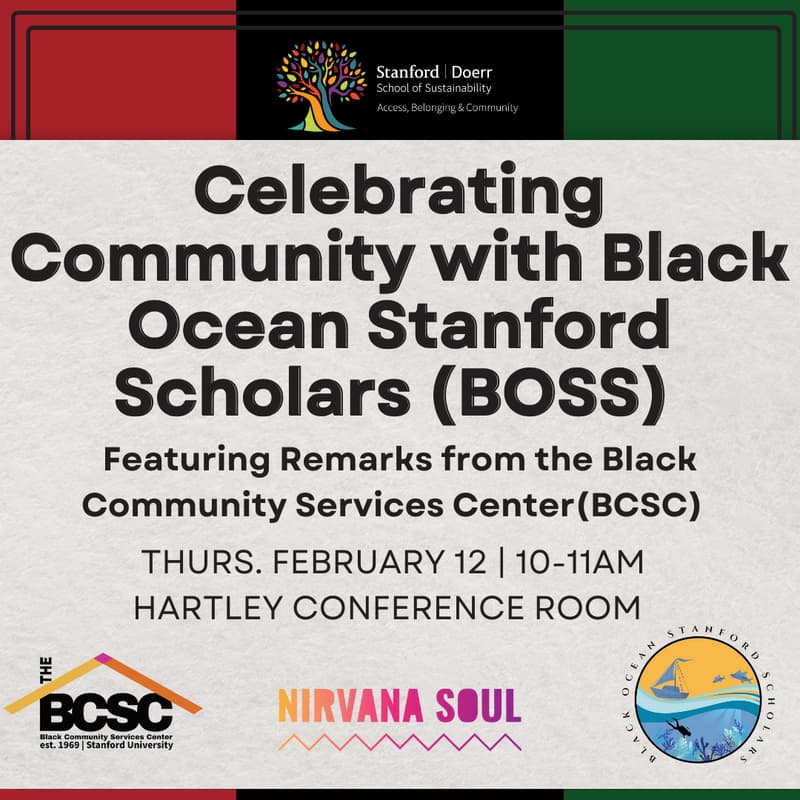 Cover Image for Celebrating Community with the Black Ocean Stanford Scholars (BOSS)