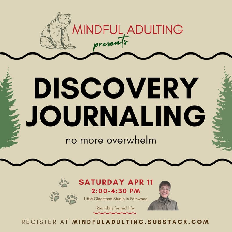 Cover Image for Discovery Journaling: no more overwhelm