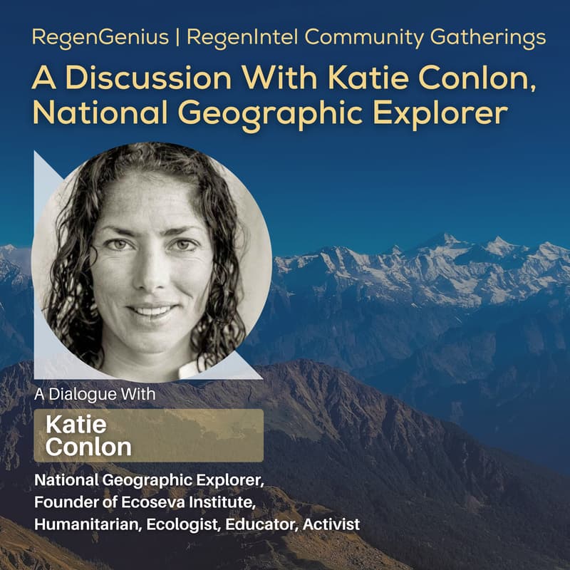 Cover Image for Exploring Across Landscapes: Stories, Systems, and Planetary Action with Katie Conlon