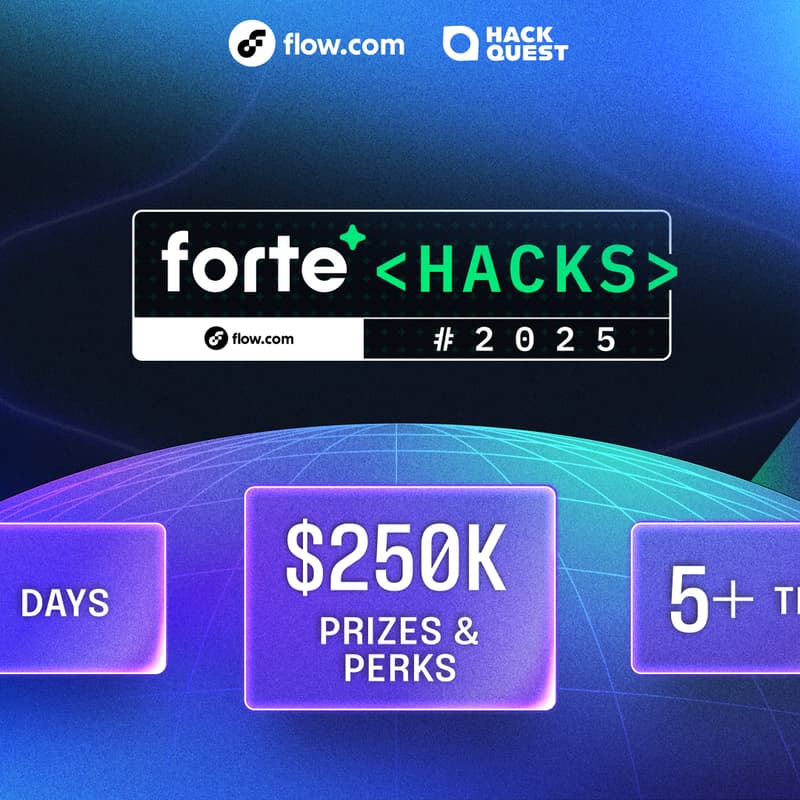 Cover Image for Forte Hacks