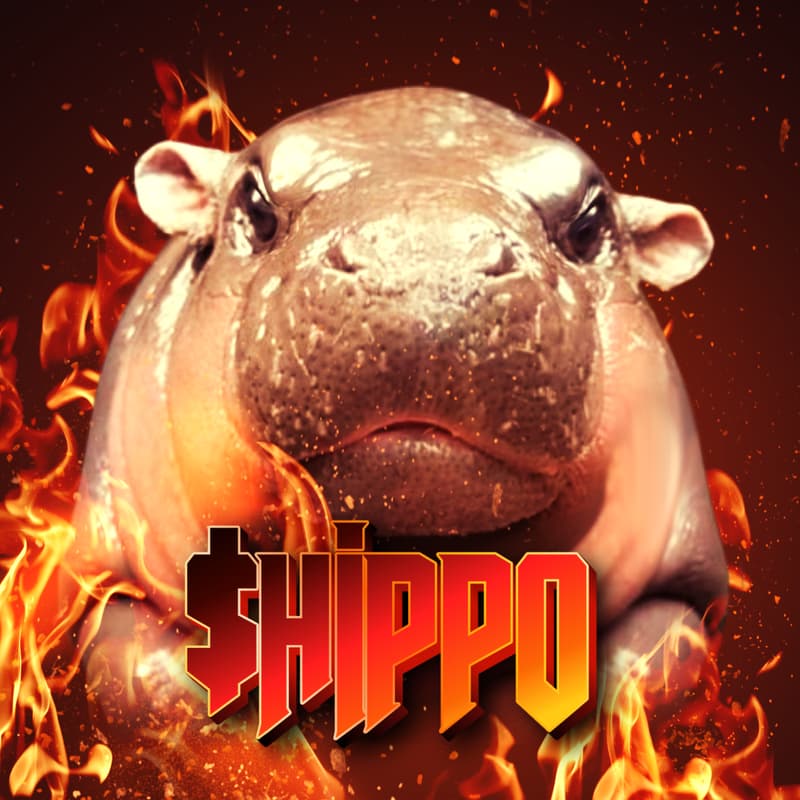 Cover Image for $HIPPO Fest Bangkok - DevCon