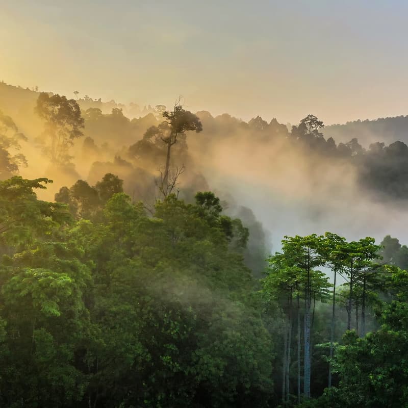 Cover Image for Frontier Science Supper : Borneo Expedition