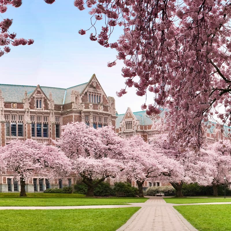 Cover Image for Fusion Futures at The UW Foster School of Business