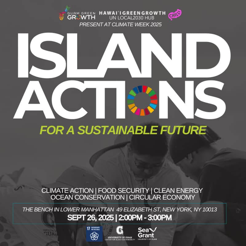 Cover Image for Island Actions for a Sustainable Future