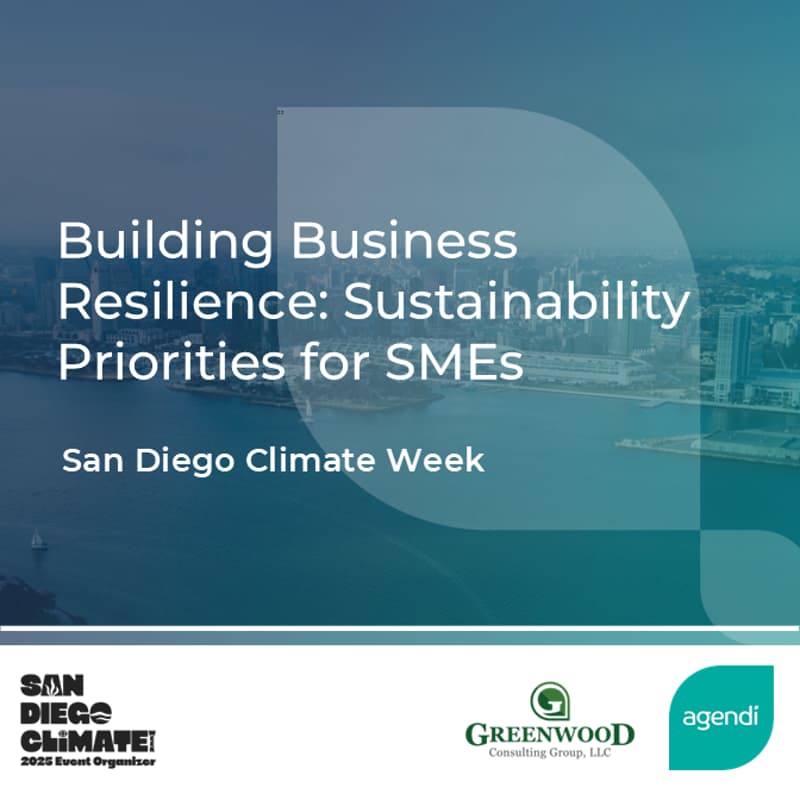 Cover Image for Building Business Resilience: Sustainability Priorities for SMEs