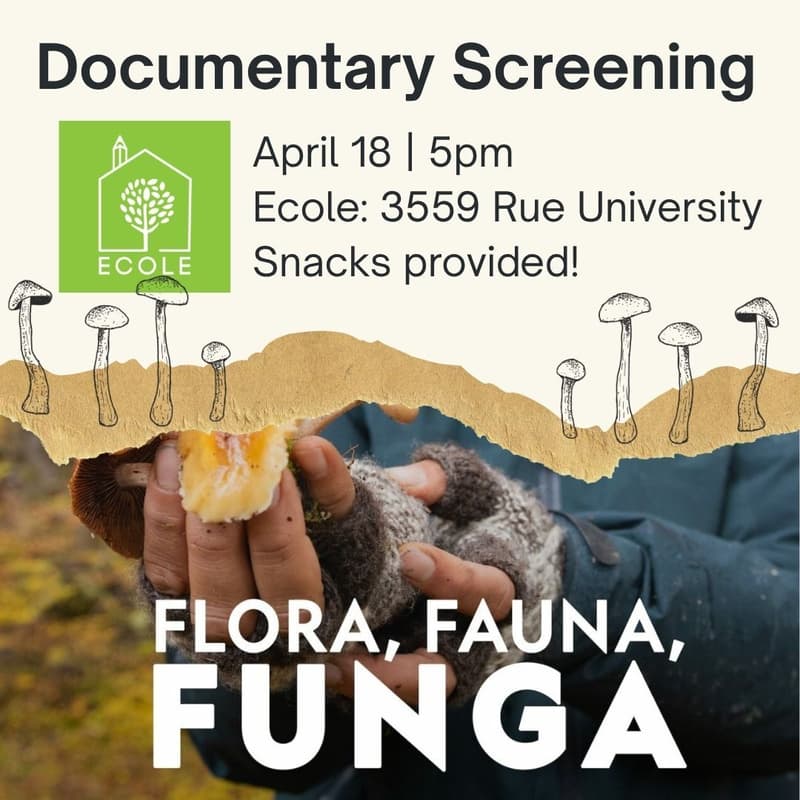 Cover Image for Fungi Documentary Watchparty <3
