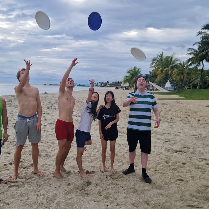 Cover Image for FRISBEE (last chance 😉)