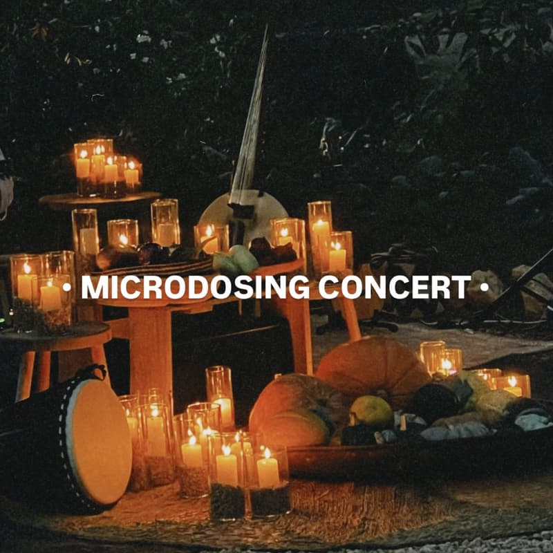Cover Image for · Microdosing Concert ·